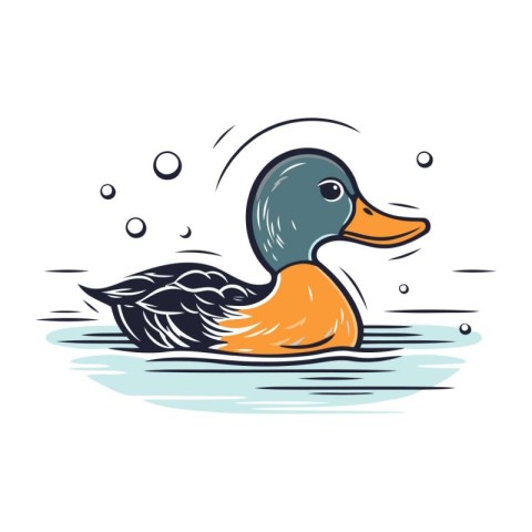 Duck swimming on the water in cartoon style. Vector illustration