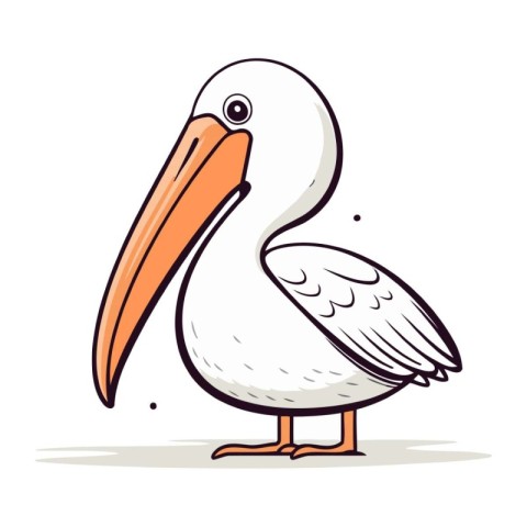 Pelican vector illustration. Cartoon pelican isolated on white b