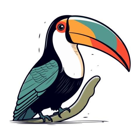 Toucan bird isolated on white background. Cartoon vector illustr