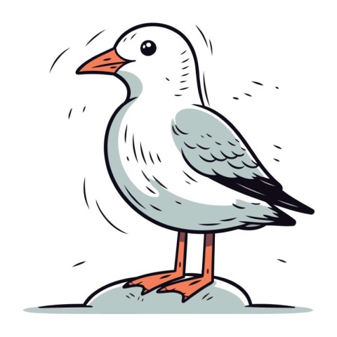 Seagull on a rock. Vector illustration of a seagull.