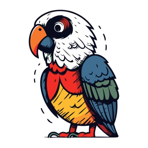 Colorful parrot isolated on a white background. Vector illustrat