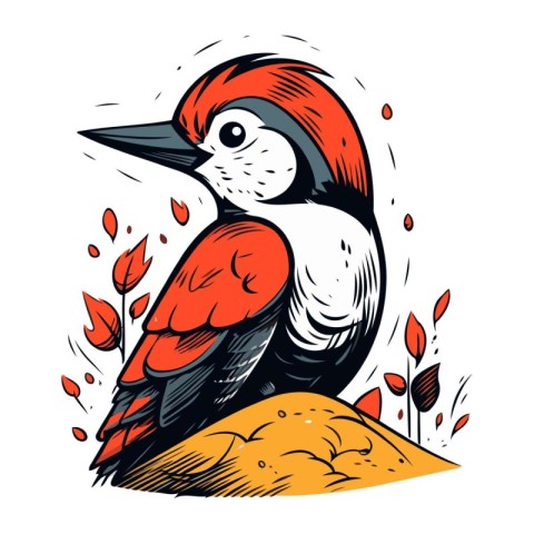 Woodpecker. Hand drawn vector illustration isolated on white bac