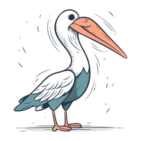 Pelican cartoon vector illustration. Hand drawn sketch of pelica