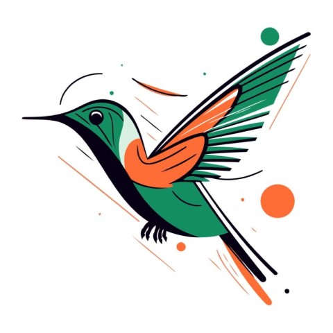 Hummingbird vector illustration. Isolated on a white background.