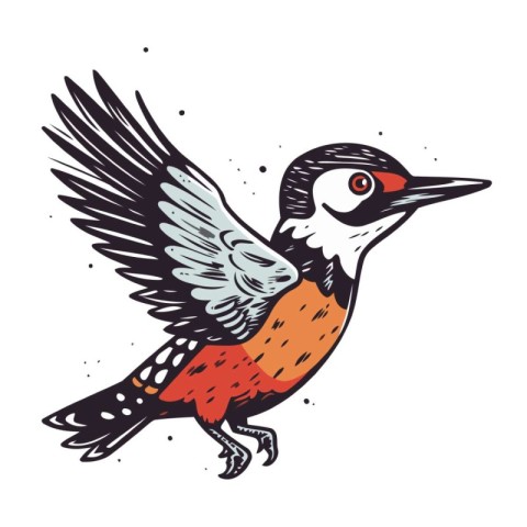 Woodpecker. Hand drawn vector illustration. Isolated on white ba