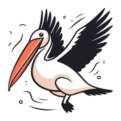 Pelican vector illustration isolated on white background. Stork.