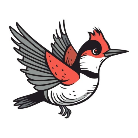 Red backed Woodpecker. vector illustration on white background.