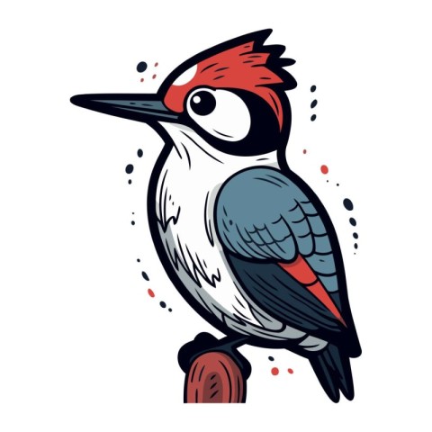 Woodpecker bird. Hand drawn vector illustration isolated on whit