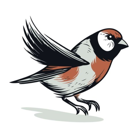 Bullfinch bird isolated on white background. Hand drawn vector i