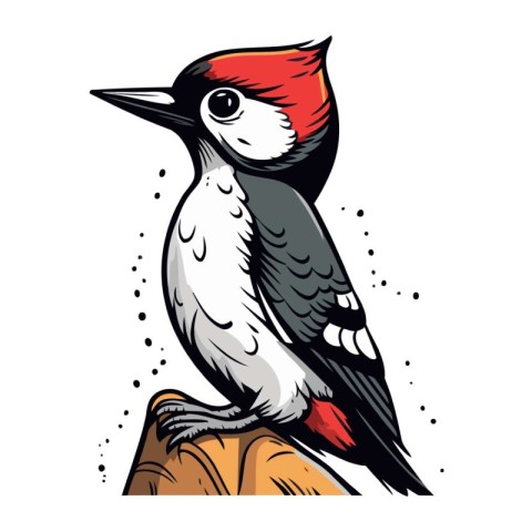 Vector image of a woodpecker on a white background. Hand drawn i