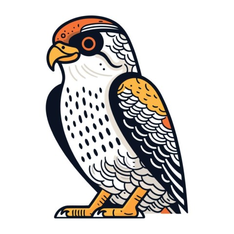 Peregrine falcon isolated vector illustration on white backgroun