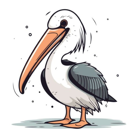 Vector illustration of a pelican isolated on white background. C