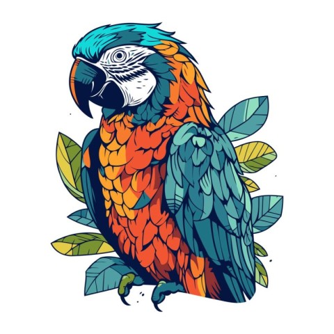 Beautiful macaw parrot on white background. Vector illustration.