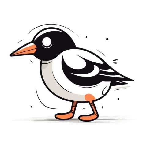 Vector illustration of a black and white penguin on white backgr