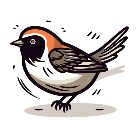 Bullfinch bird. Vector illustration of a bullfinch.