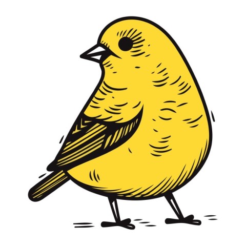 Vector illustration of a yellow bird on white background. Hand d