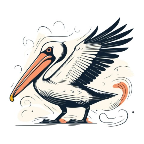 Pelican. Vector illustration of a pelican on a white background.