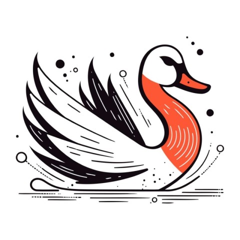 Vector illustration of swan with wings in doodle style.