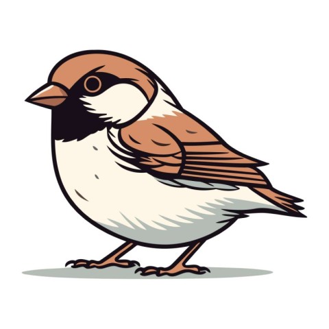 Sparrow isolated on white background. Hand drawn vector illustra