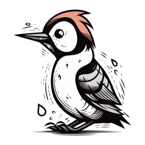 Hand drawn vector illustration of a woodpecker. Isolated on whit