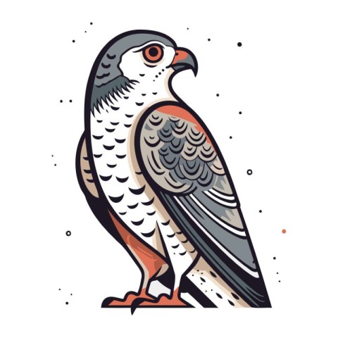 Illustration of a falcon on a white background. Vector illustrat