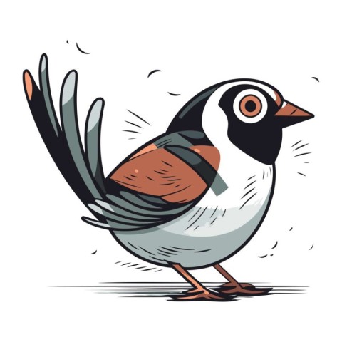 Bullfinch bird. Hand drawn vector illustration isolated on white