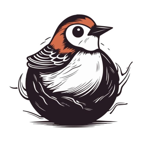 Woodpecker in the nest. vector illustration on white background.