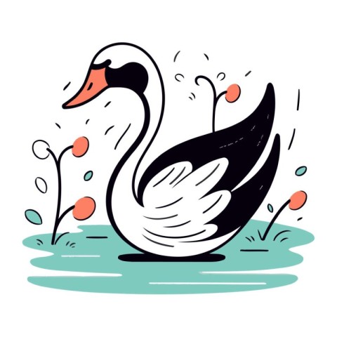 Vector illustration of a swan on a white background. Hand drawn