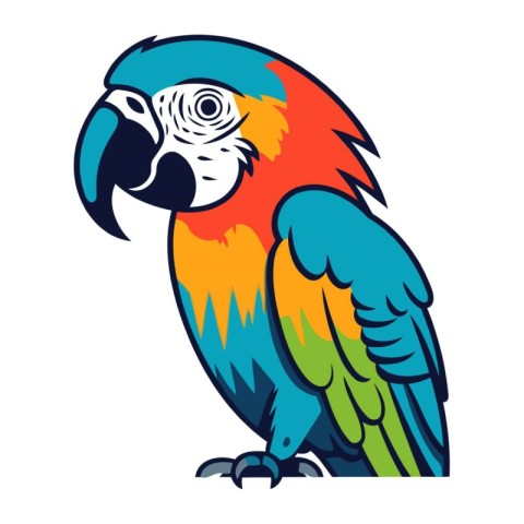 Colorful macaw parrot isolated on white background. Vector illus