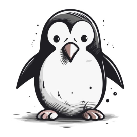 Penguin vector illustration isolated on white background. Cute c