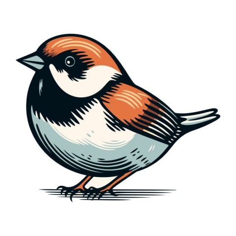 Titmouse on a white background. Hand drawn vector illustration.