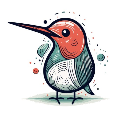 Hand drawn vector illustration of a red bellied woodpecker