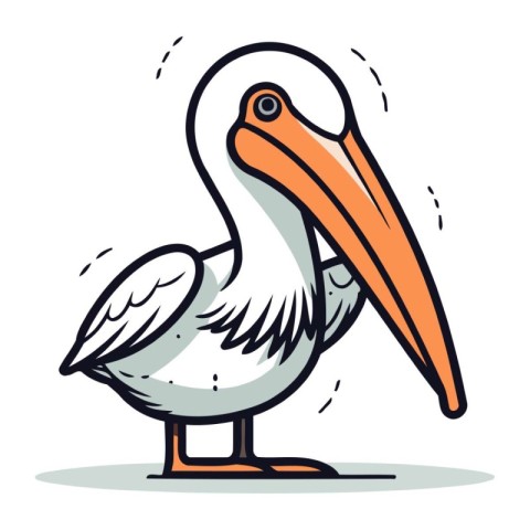 Pelican vector illustration on white background. Cartoon pelican