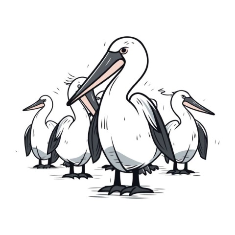 Pelican vector cartoon illustration. Isolated on white backgroun