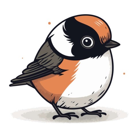 Bullfinch. Vector illustration of a bullfinch on a white backgro