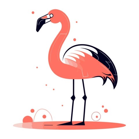 Flamingo. Vector illustration in flat style on white background.