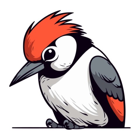 Black backed Woodpecker. Vector illustration of a bird.