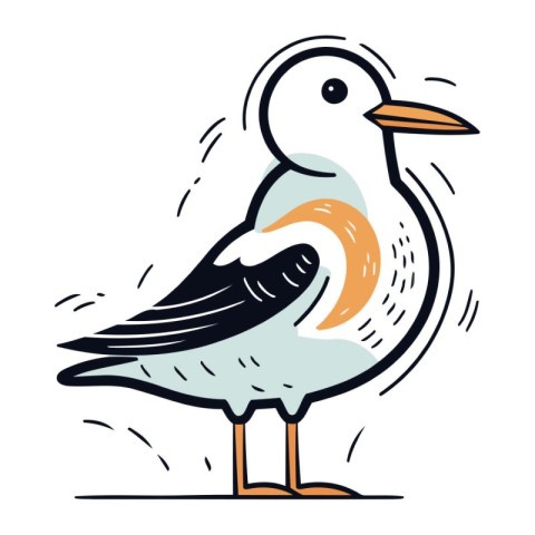 Vector illustration of a seagull isolated on a white background.