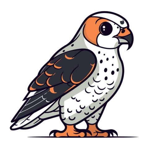 Peregrine falcon. Vector illustration of a bird.