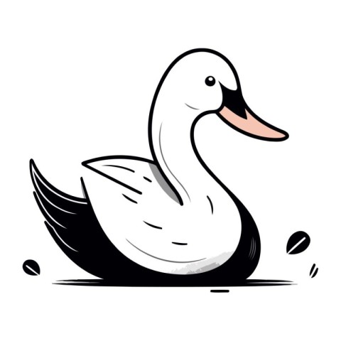 Swan isolated on white background. Vector illustration in cartoo