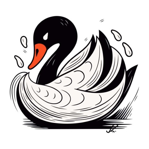 Black swan on a white background. Vector illustration of a swan.