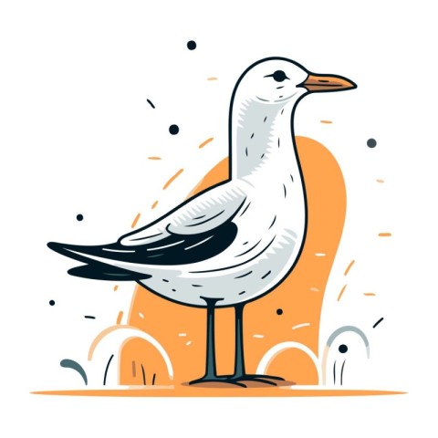 Seagull. Vector illustration of a seagull on a white background.