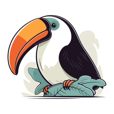 Toucan vector illustration. Hand drawn toucan isolated on white