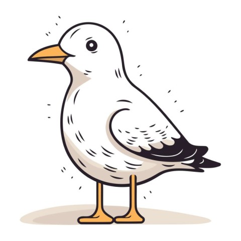 Vector illustration of a seagull on a white background. Isolated