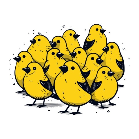 Vector illustration of a group of yellow chicks on a white backg