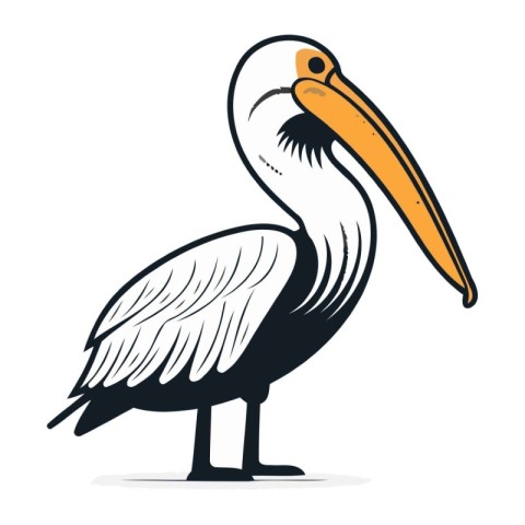 Pelican isolated on white background. Vector illustration in car