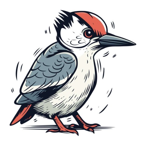 Vector image of a woodpecker on a white background in cartoon st