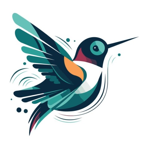 vector illustration of a hummingbird isolated on a white backgro