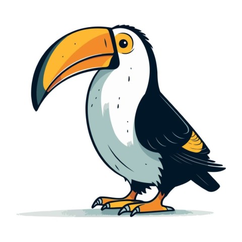 Toucan vector illustration. Isolated on white background. Cartoo