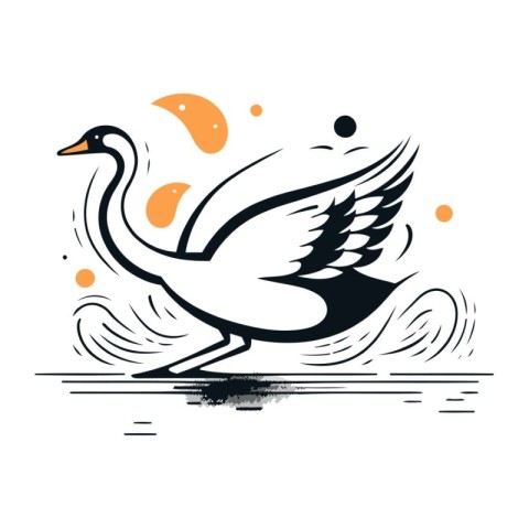 Swan. Vector illustration. Design element for logo. label. emble